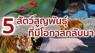 5 สัตว์สูญพันธุ์ ที่มีโอกาสกลับมาอีกครั้ง