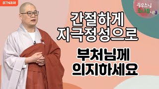 54회 간절하게 지극정성으로 부처님께 의지하세요ㅣ광우스님의 소나무 시즌3  매일저녁 9시(평일)