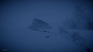 Blizzard Snowstorm & Arctic Howling Wind Sounds for Sleeping, Relaxing, & Insomnia  Igloo Ambience
