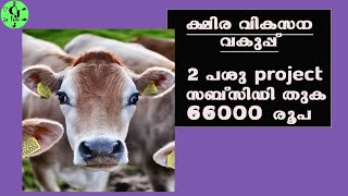 ചെറുകിട ക്ഷീരകർഷകർക്ക് 66000 രൂപ സബ്സിഡി|പശു വളർത്തൽ പദ്ധതി|CJ Farms