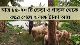 ভেড়া ও গাড়ল পালন | মাত্র ১৫-২০ টি গাড়ল থেকে বছর শেষে ২ লক্ষ টাকা আয় | Sheep farm in Bangladesh