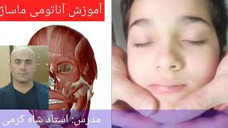 ماساژ صورت (به همراه آناتومی)