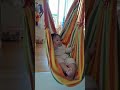 5개월 아기 처음 그네타기 five month old baby on swing baby on swing 그네는 신나요