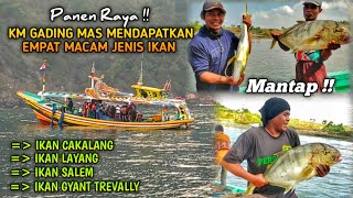 AKSI NELAYAN PUGER MENANGKAP IKAN CAKALANG