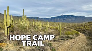 hope camp trail - saguaro national park east