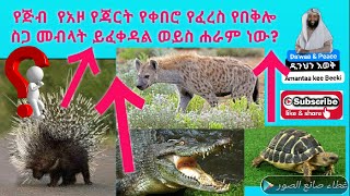 የጅብ  የአዞ የጃርት (ነያ) የኤሊ የቀበሮ የፈረስ የበቅሎ ስጋ መብላት ይፈቀዳል ወይስ ሐራም ነው