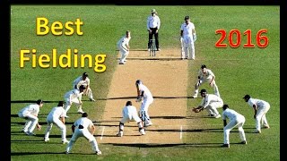 (Top-10 )Best Fielding in Cricket History - Top Cricket Fielding's - Cricket Highlights 2016