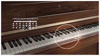 New Steinway Upright Action