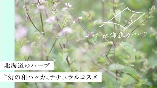 【北海道のハーブ】幻の和ハッカ畑 / ナチュラルコスメのふるさと / ナチュラルアイランド