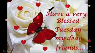 Happy Tuesday,Wishes,Greetings,Quotes,Sms,Saying,E-Card,Wallpapers,Happy Tuesday Whatsapp Video