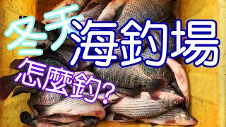 海釣場冬天怎麼釣? 釣組針對冬天魚種 小鉤細線面對尖嘴鱸魚 讓BD帶你去海釣場釣魚趣