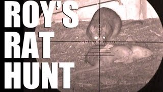 Fieldsports Britain - Roy's rat hunt