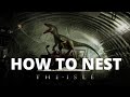 The Isle - how to make a nest