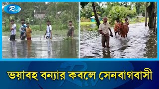 নোয়াখালীর সেনবাগে ভয়াবহ বন্যা পরিস্থিতি | Noakhali | Flood | Rtv News