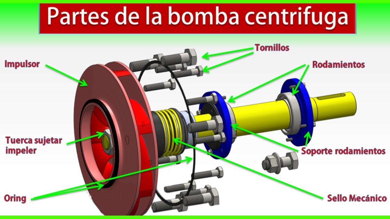 Bombas Centrifugas ️ Bombas Centrifugas Tipos ️Partes De La Bomba ...