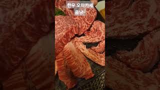 오늘 저녁은 한우 오마카세 #한우 #오마카세 #소고기