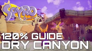 Spyro The Dragon (Reignited) 120% Guide DRY CANYON (ALL GEMS, EGGS, DRAGONS...)