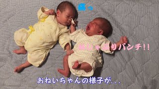 【男女双子の赤ちゃん】生後1ヶ月の様子【育児Vlog】Cute and Funny Twin Babies Video.