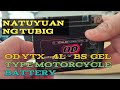 OD GEL BATTERY NATUYUAN NG TUBIG | BatteryMasterTV