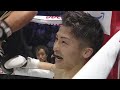 井上尚弥　対　ルイス・ネリ　naoya inoue vs luis nery　４団体統一世界sバンタム級タイトルマッチ