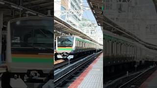 東海道線E233系3000番台の回送を横浜駅撮影しました