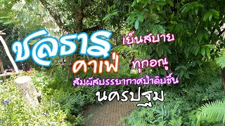 ชลธาร คาเฟ่ ในสวนสวย บรรยากาศป่าดิบชื้น | ไปเรื่อยพาเที่ยว EP.4