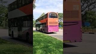 Cameo! SMRT Buses on Service 176 Volvo B9TL WEG 2 SBST livery SG5352P