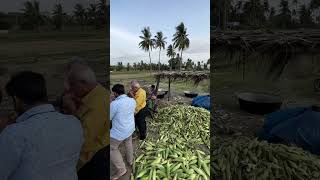 💥 உங்களுக்கு மக்காச்சோளம் பிடிக்குமா Which’s Your Fav Sweet Corn or Original Corn 🌽 ⁉️ #shorts