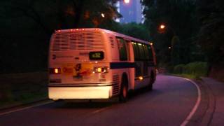 MTA New York City Bus 1998 \u0026 1999 NovaBus RTS-06 5065 \u0026 5206 On The M72 \u0026 @ 65th Street Transverse