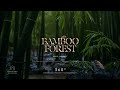 Bamboo Forest, Maui Hawaii (360° HEADSET EXPERIENCE)