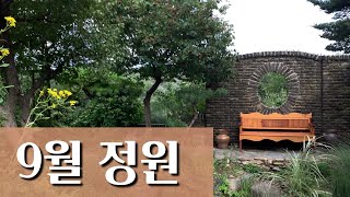 가을정원 / 9월정원 / 변화무쌍한 나날들