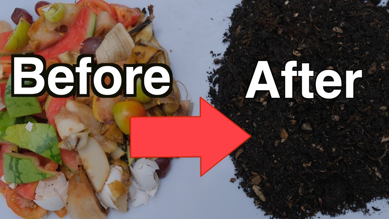 Fast Compost From Kitchen Scraps Directly In The Garden - YouTube