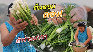 ทำต้นหอมดอง ส้มต้นหอม ของอร่อยที่ทำง่ายกว่าที่เราคิด | อร่อยนัวร์