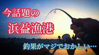 【カレイ×ホッケ🎣🔥】タイトル詐欺なし‼️話題の浜益漁港が釣れ過ぎてマジで怖い😂😂ww#北海道釣り#かれい釣り#小樽港釣り#余市港釣り#石狩湾新港#浜益港#浜益漁港#カレイ釣#クロガシラカレイ