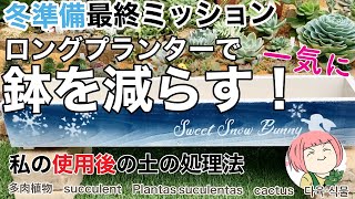 145【多肉植物】冬準備の最終ミッション鉢減らし！使用済み土の私の処理法