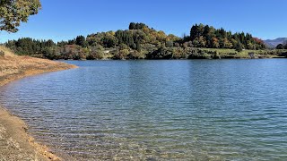 【4K】秋の絶景スポット、坊ヶ池湖畔を歩く！【新潟県・上越市】紅葉