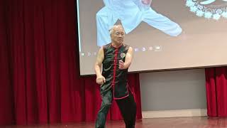 Wushu performance 武术表演