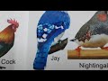 Birds ||Boardbook for Kids ||Kids Story by Dreamland Publications ||Chuchu kids