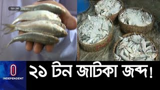 (LIVE) সোয়ারিঘাটে র‍্যাবের ভ্রাম্যমাণ আদালতের অভিযানে ২১ টন জাটকা জব্দ || Jatka || Hilsha