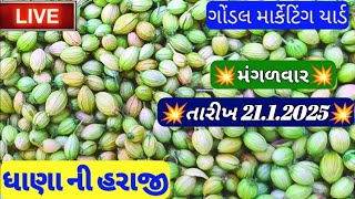 ધાણાના સૌથી ઊંચા ભાવ /ગોંડલ નવા ધાણા ના ભાવ / ધાણાના ઉંચા ભાવ /ગોંડલ માર્કેટિંગ યાર્ડ / 21.1.2025