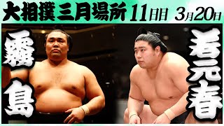 大相撲　霧島ー若元春＜令和６年三月場所・１１日目＞SUMO