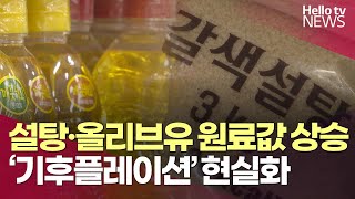 설탕·올리브유 원룟값 상승…기후플레이션 현실화ㅣ#헬로tv뉴스