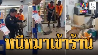 แตกตื่น! ตัวเงินตัวทองหนีหมาไล่เข้าร้านสะดวกซื้อ พนักงานกระเจิง | ข่าวอรุณอมรินทร์ | 6/7/67