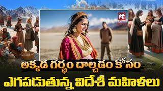 గర్భం కోసం ఎగపడుతున్న విదేశీ మహిళలు | Ladakh Pregnancy Tourism @Hittvtelugunews