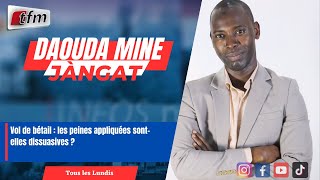 JANGÀT avec Daouda MINE | Vol de bétail : les peines appliquées sont-elles dissuasives ?