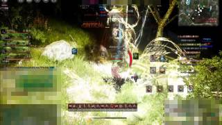 BlackDesert 20161009拠点戦 with へっぽこRG戦闘全部