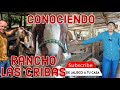 Conociendo Rancho Las Cribas, Cabras de Registro en  Jalisco