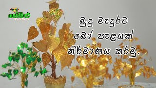 බුදුමැදුර ට බෝ පැලයක්