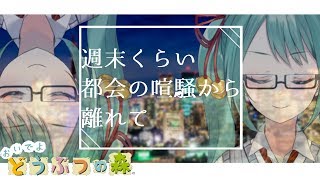 【おい森】冬に向けていろいろ蓄えます。【アイドル部】