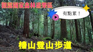 【觀霧國家森林遊樂區Ep.3】榛山登山步道#觀霧山莊#大鹿林道#榛山觀景台#雪山聖稜線